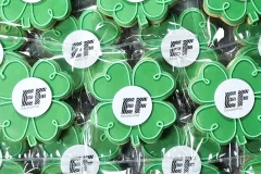 Education-first-logo-cookies