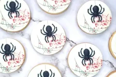 Spinne-halloween002